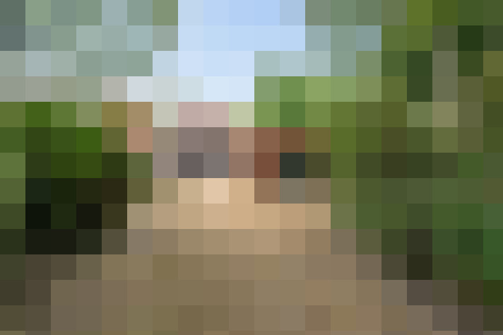 Image 22