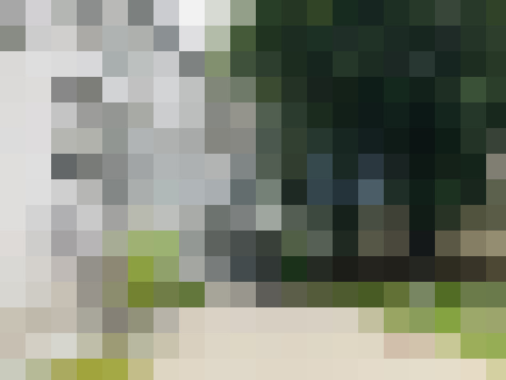 Image 36