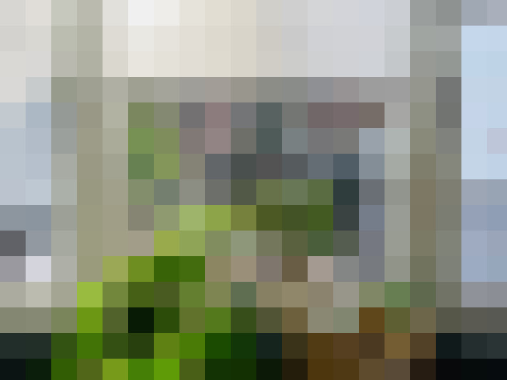 Image 29