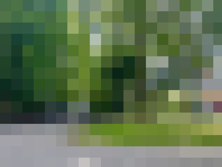 Image 14