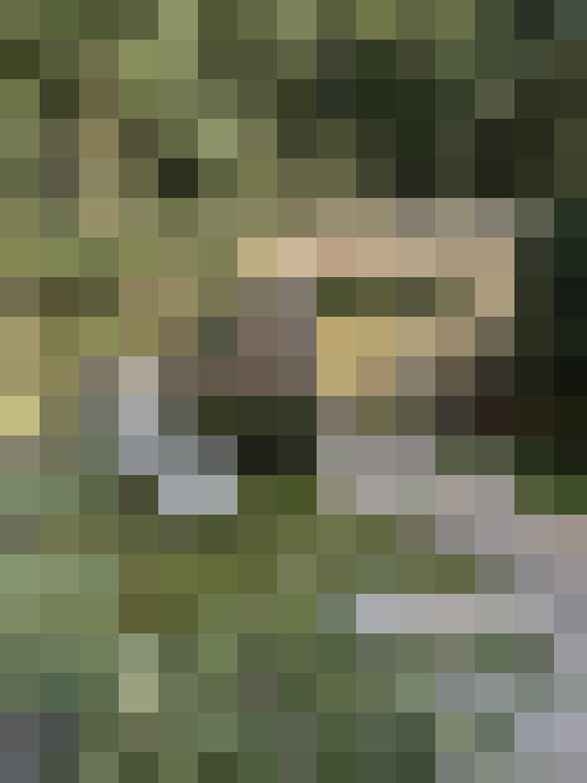 Image 17