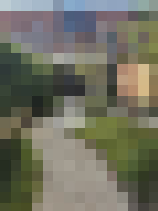 Image 15
