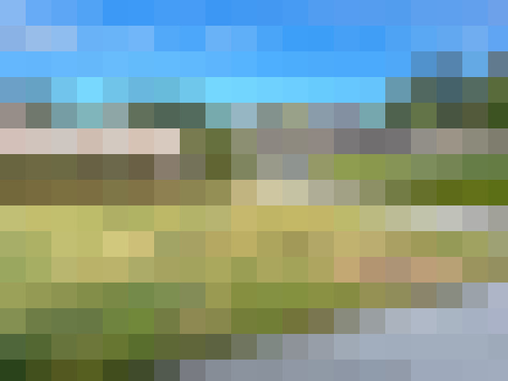 Image 17