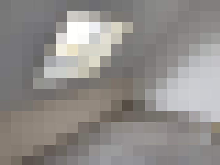 Image 13