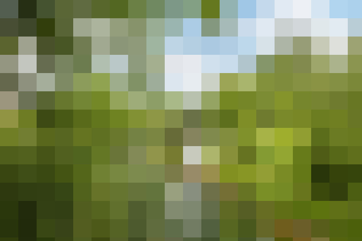 Image 14