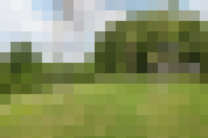Image 13