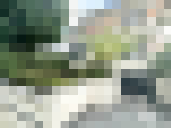 Image 21