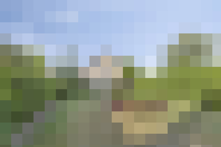 Image 35