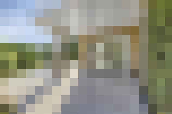 Image 31