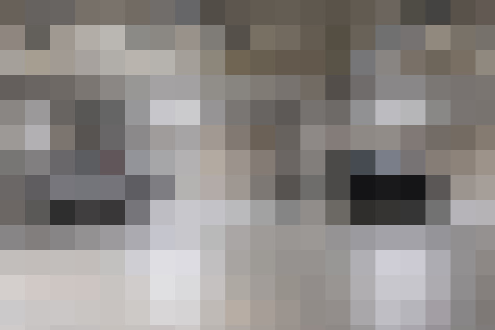 Image 17