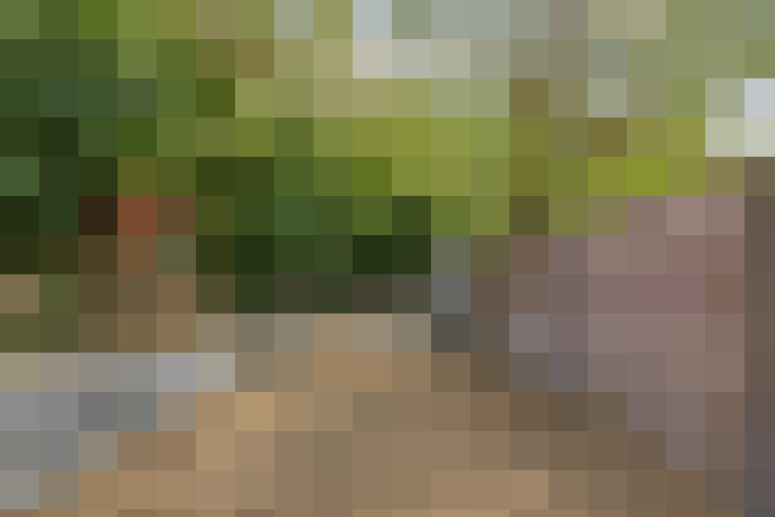 Image 20