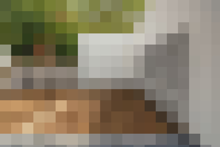 Image 17