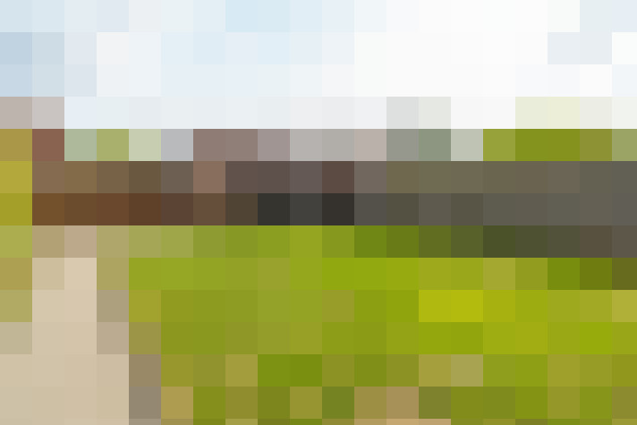 Image 23
