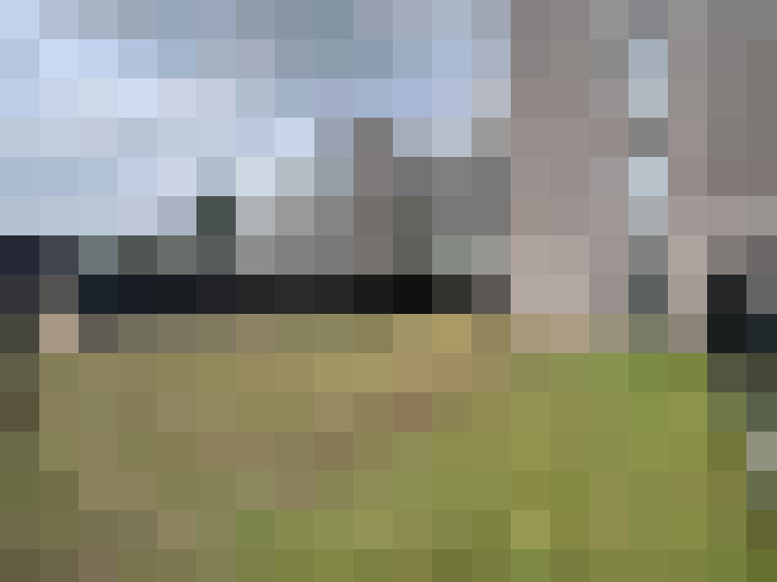 Image 16