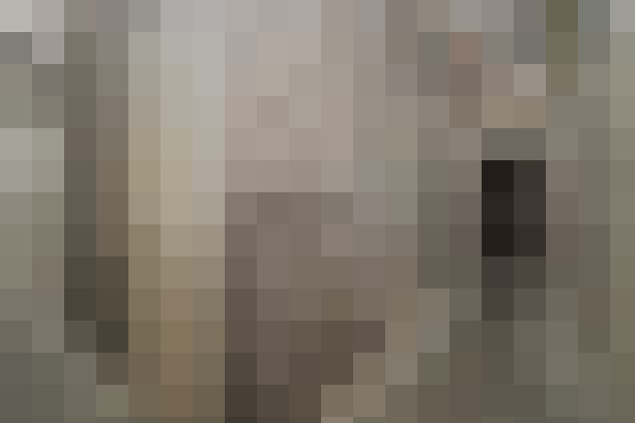 Image 13