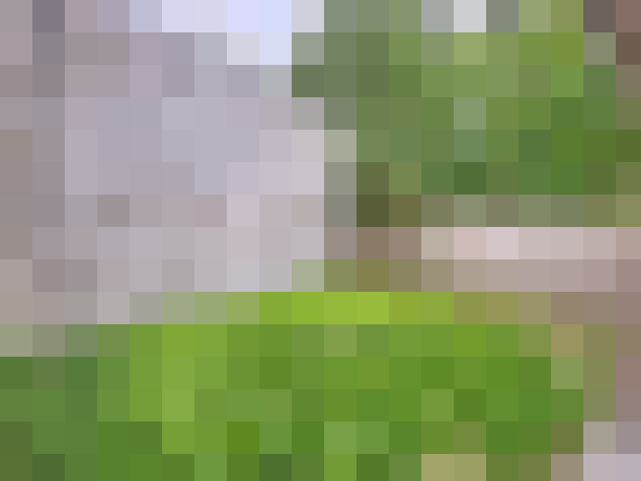 Image 23