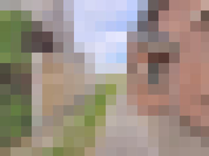 Image 17
