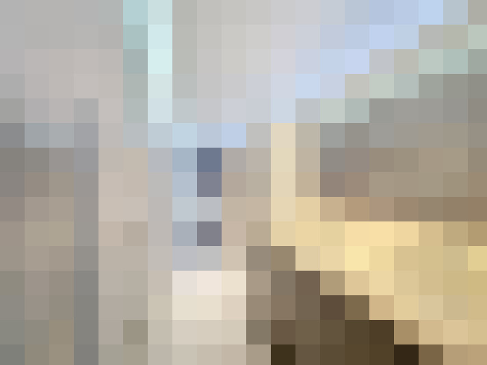 Image 17