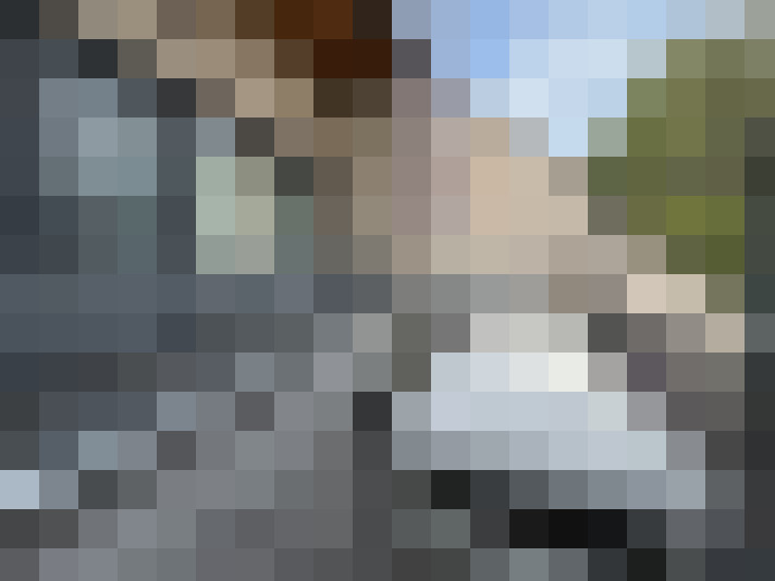 Image 15