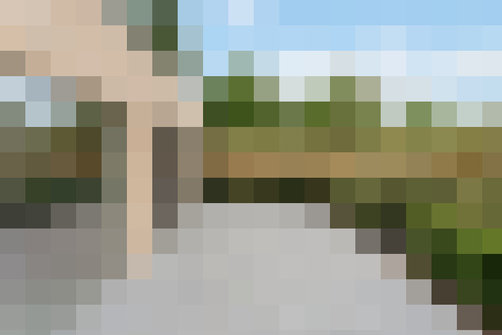 Image 17