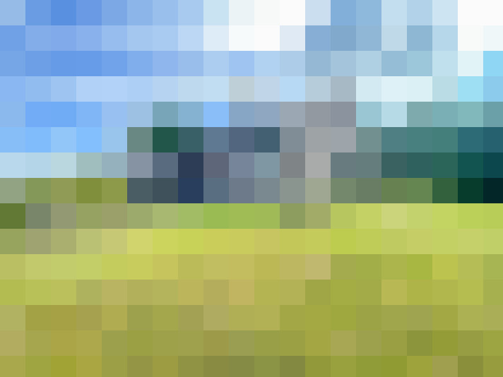 Image 23