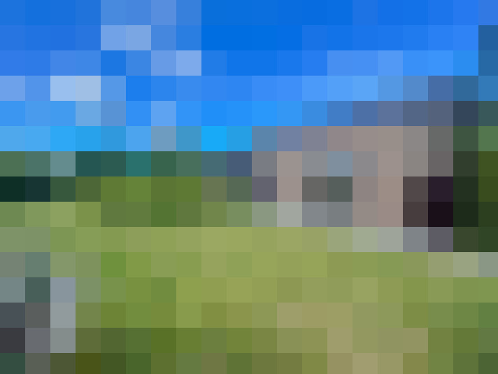 Image 20