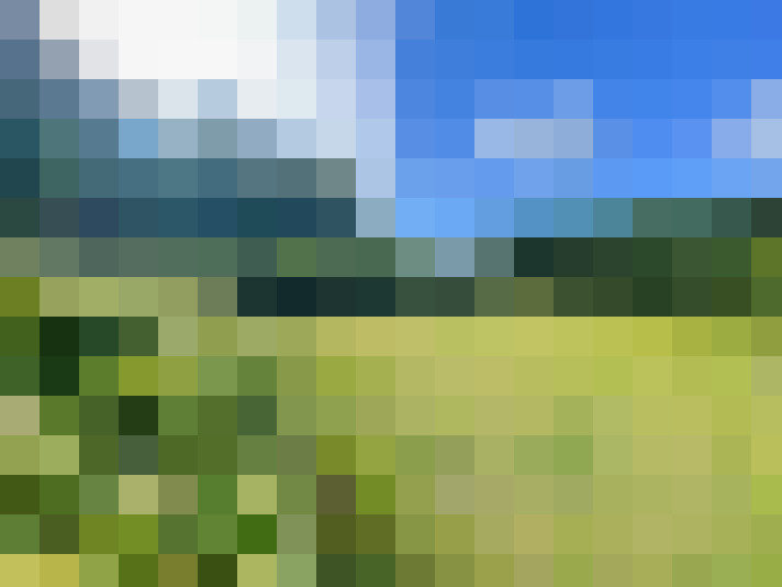 Image 27