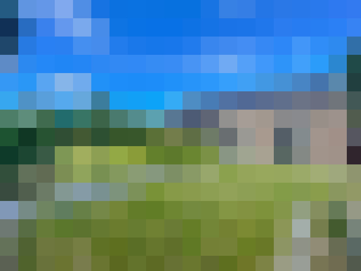 Image 22
