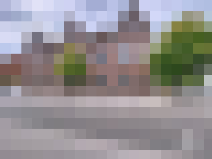 Image 24