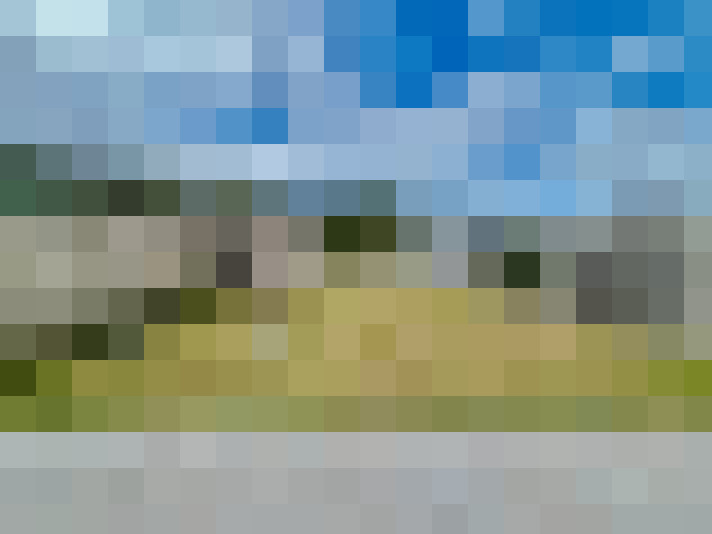 Image 15