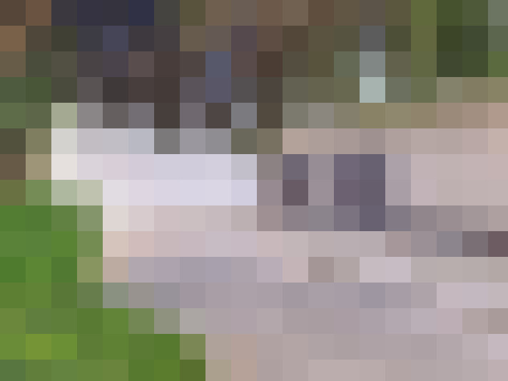 Image 13