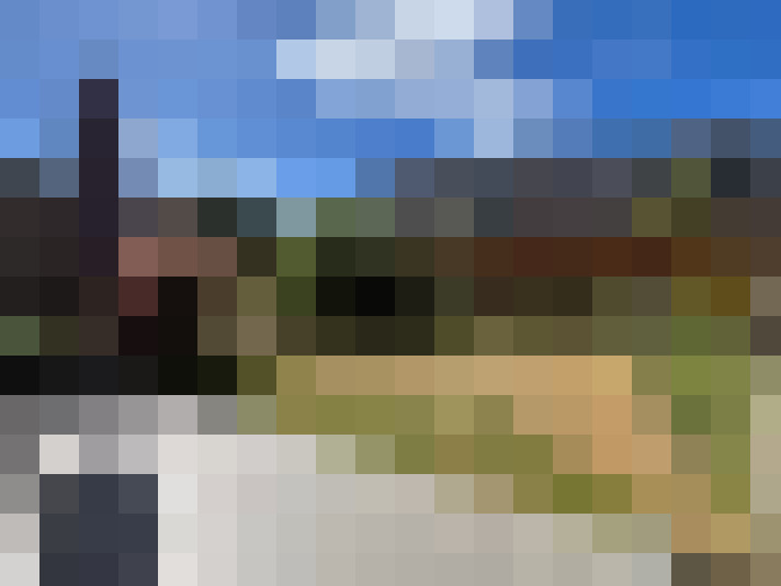 Image 15