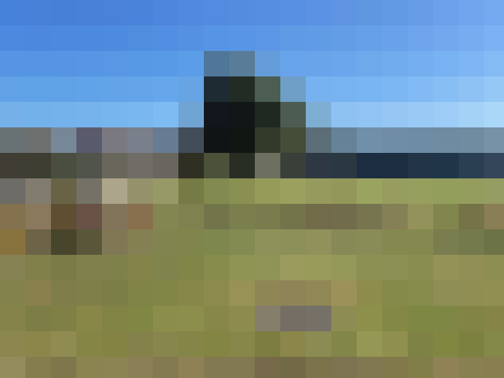 Image 23