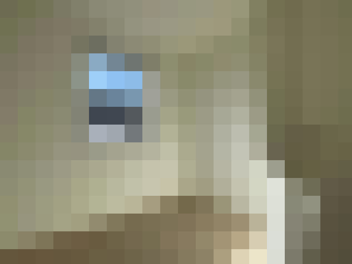 Image 14