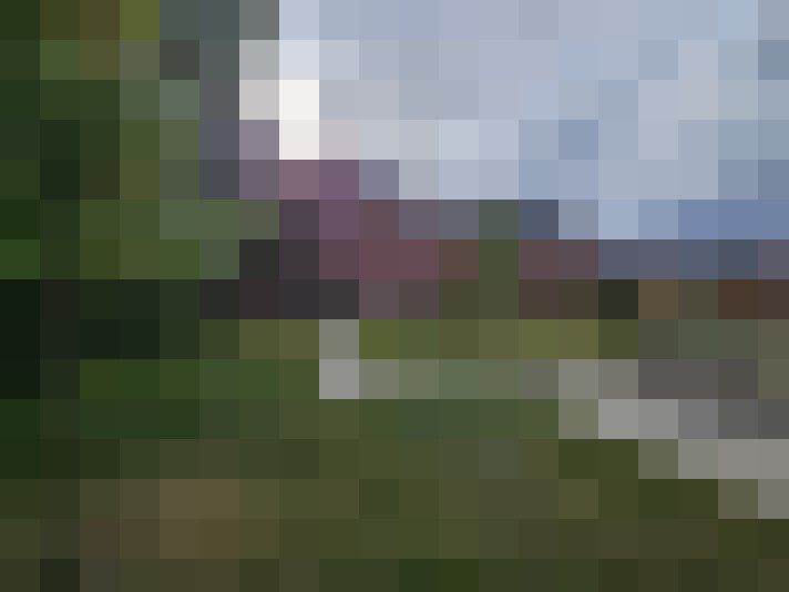 Image 20