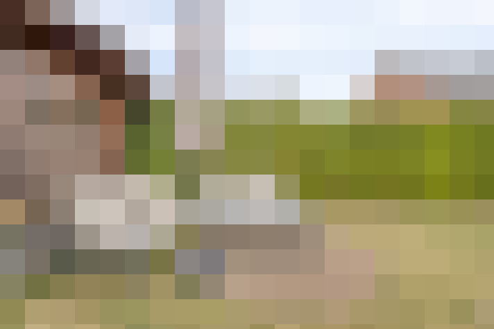 Image 17