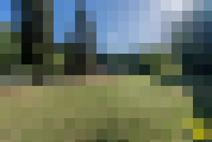Image 31