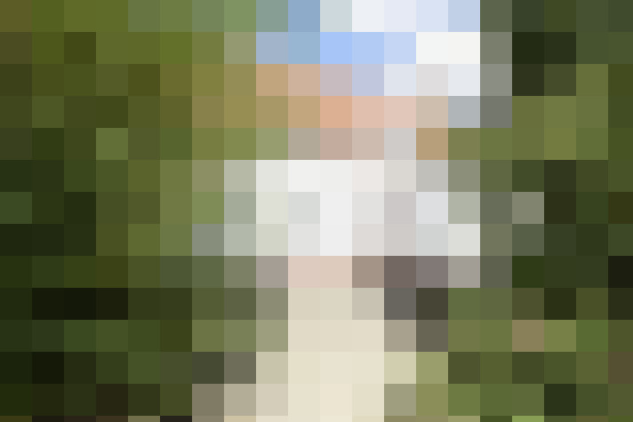 Image 15