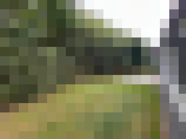 Image 13