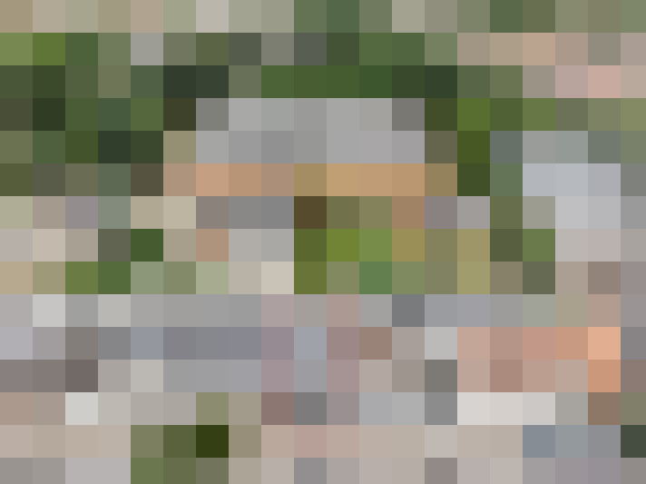 Image 29