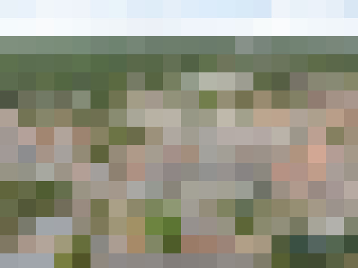 Image 28