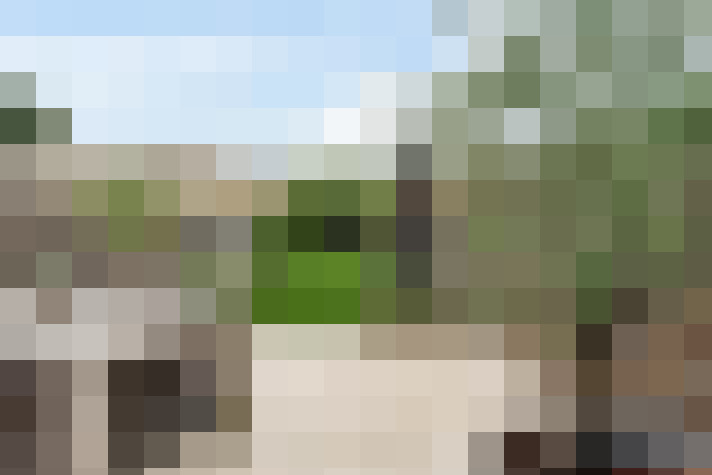 Image 13