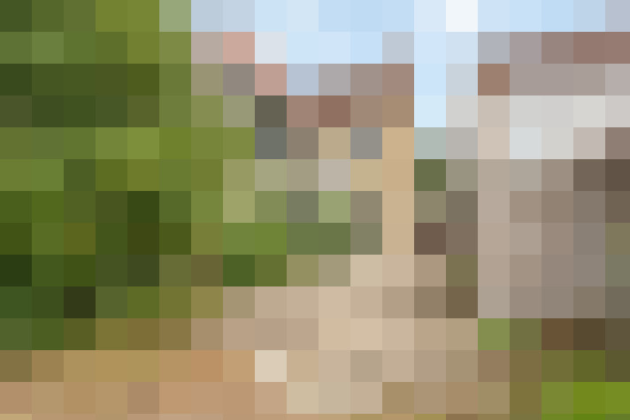 Image 20