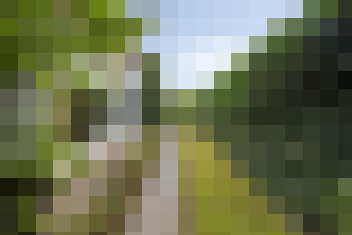 Image 34