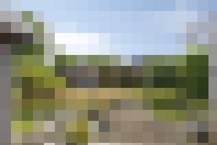 Image 31