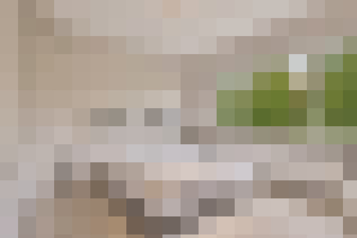 Image 20