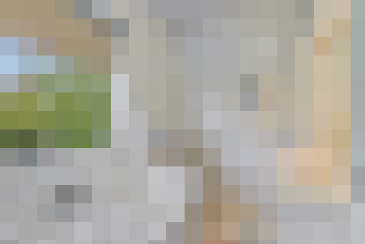 Image 22