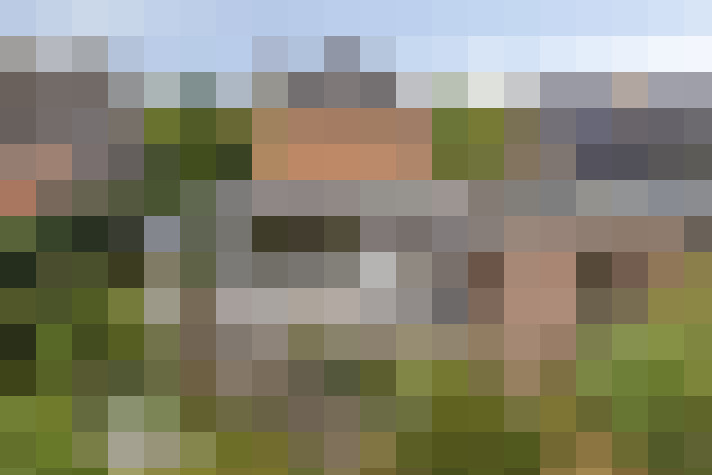 Image 33