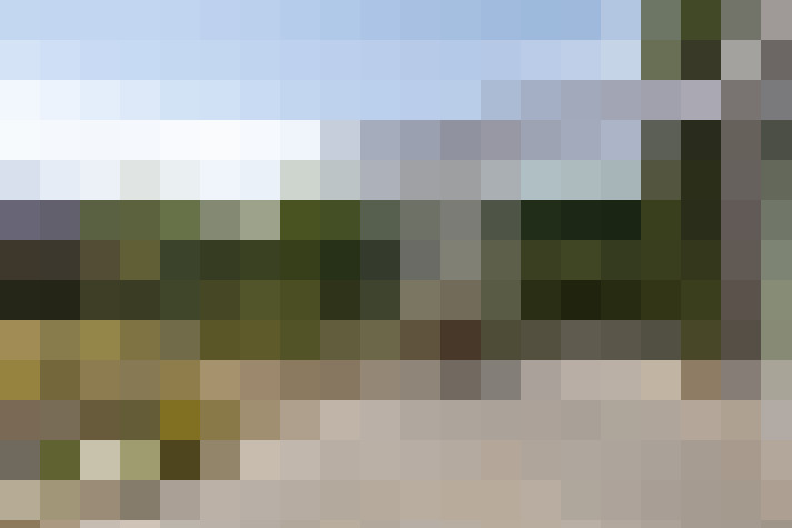 Image 29