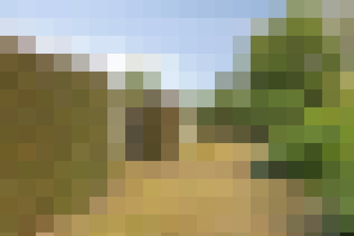 Image 36